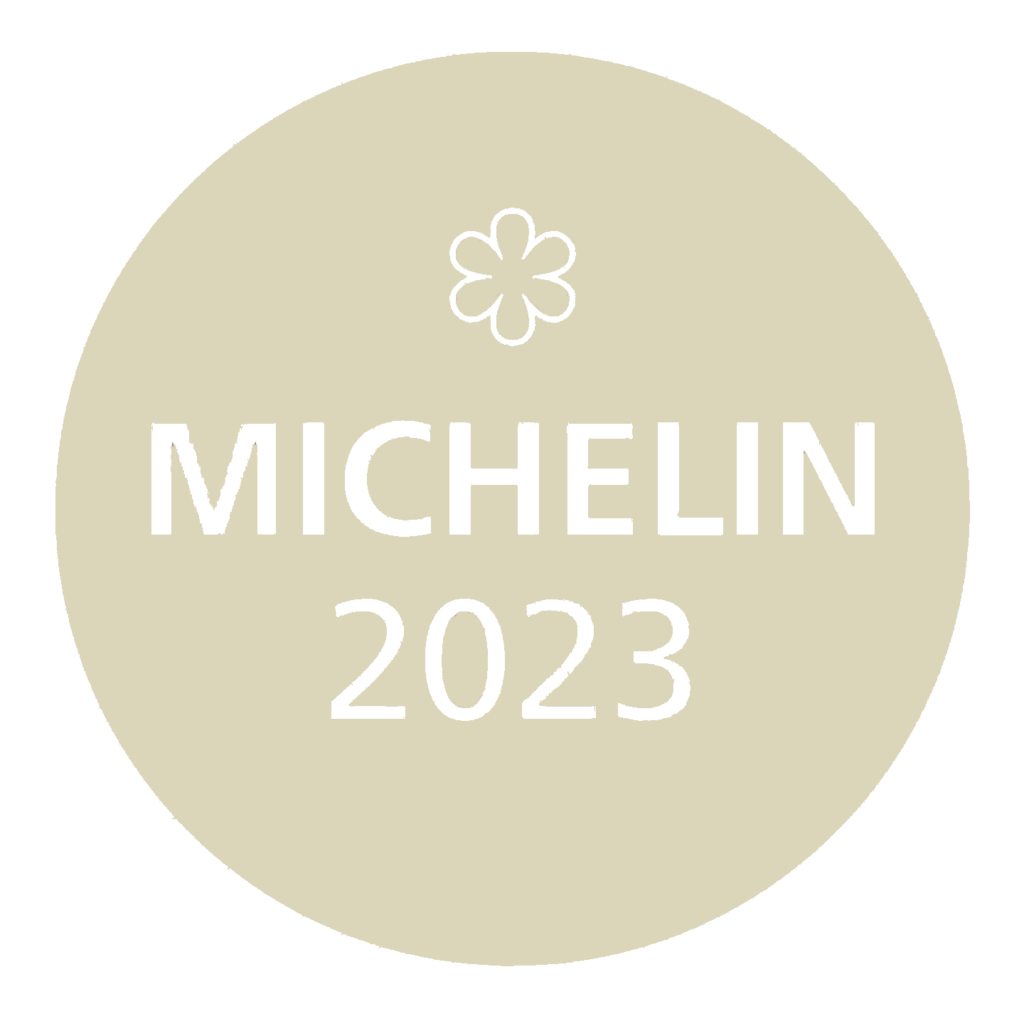 Michelin Logo